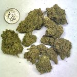 Delta 8 Pro Hemp Flower Cheese Cake