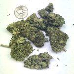 Delta 8 Pro Hemp Flower Sour Diesel