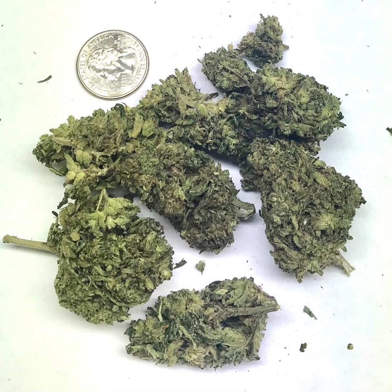 Delta 8 Pro Hemp Flower Sour Diesel