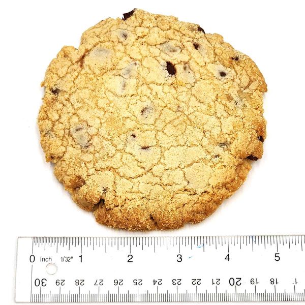 FUCHEM Giant Chocolate Chip Cookie 100mg THC 100MG CBD