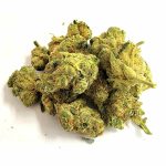 Delta 8 Pro THCA Flower Octane Gas 2