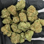 Blue Dream 226 600x600 1