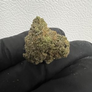 Gary Payton Nug Shot