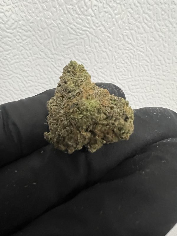 Gary Payton Nug Shot