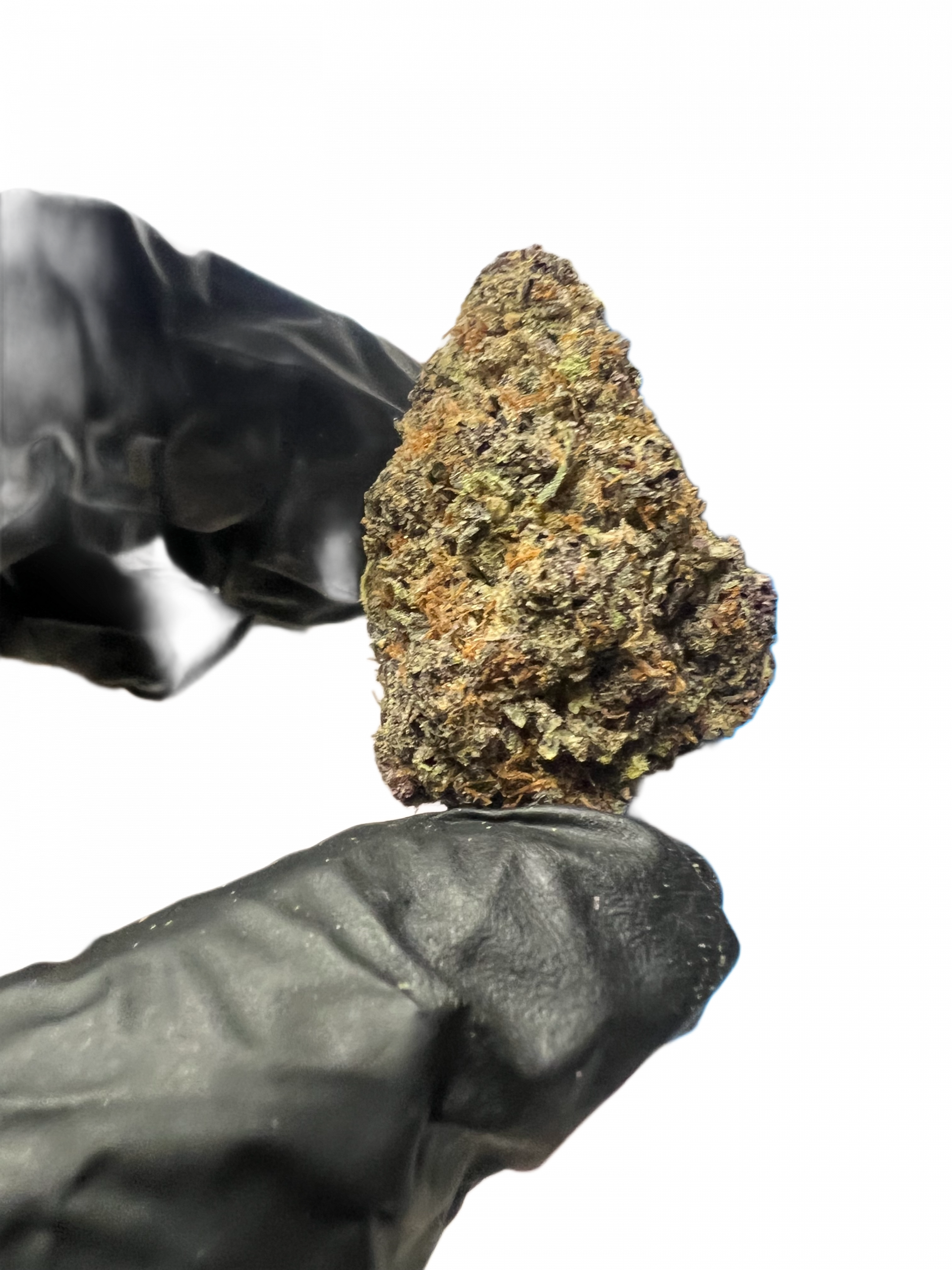 Halle Berry THCA Flower Close Up